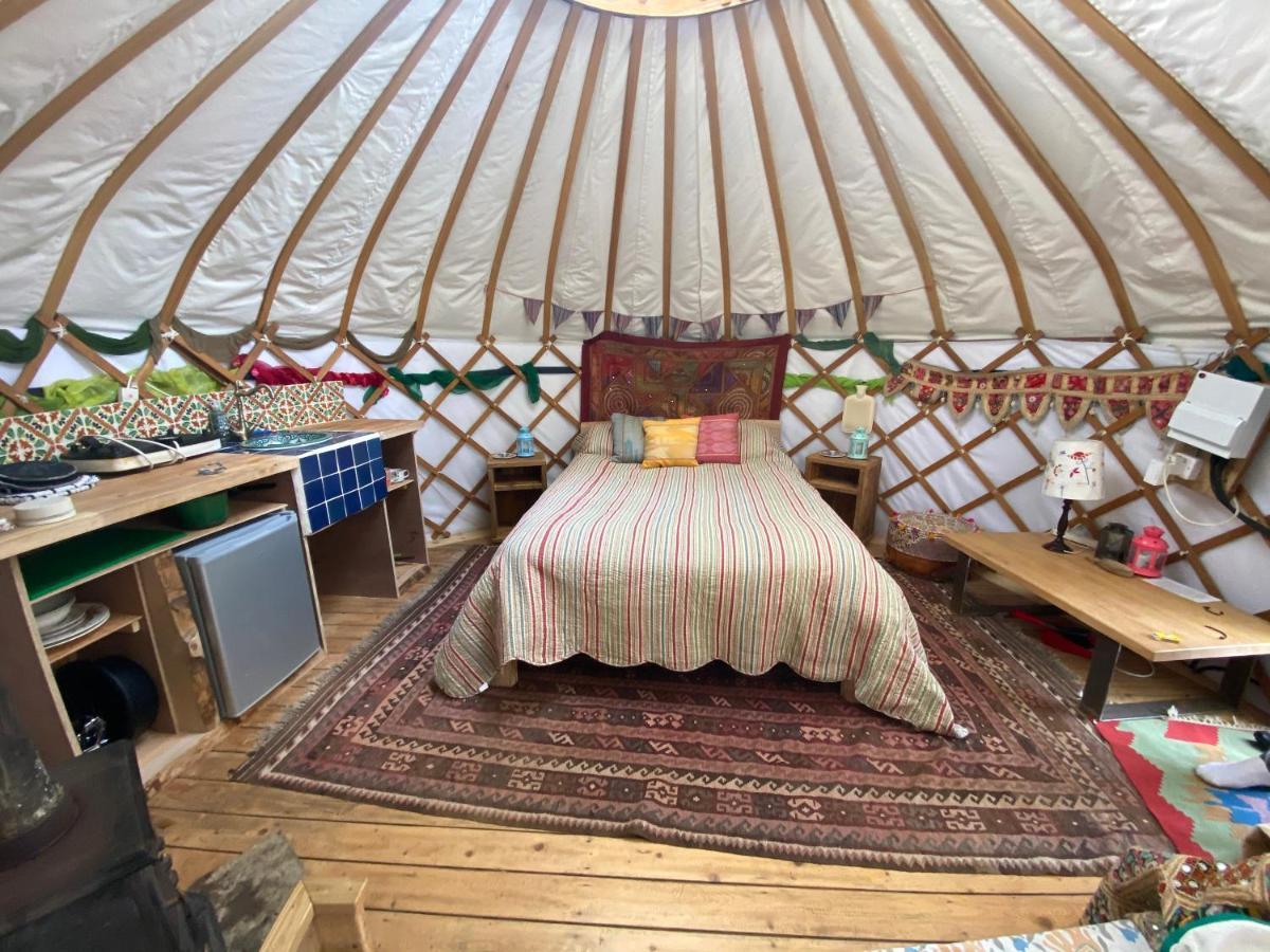 Shipston-on-Stour Cotswolds Camping At Holycombe מראה חיצוני תמונה