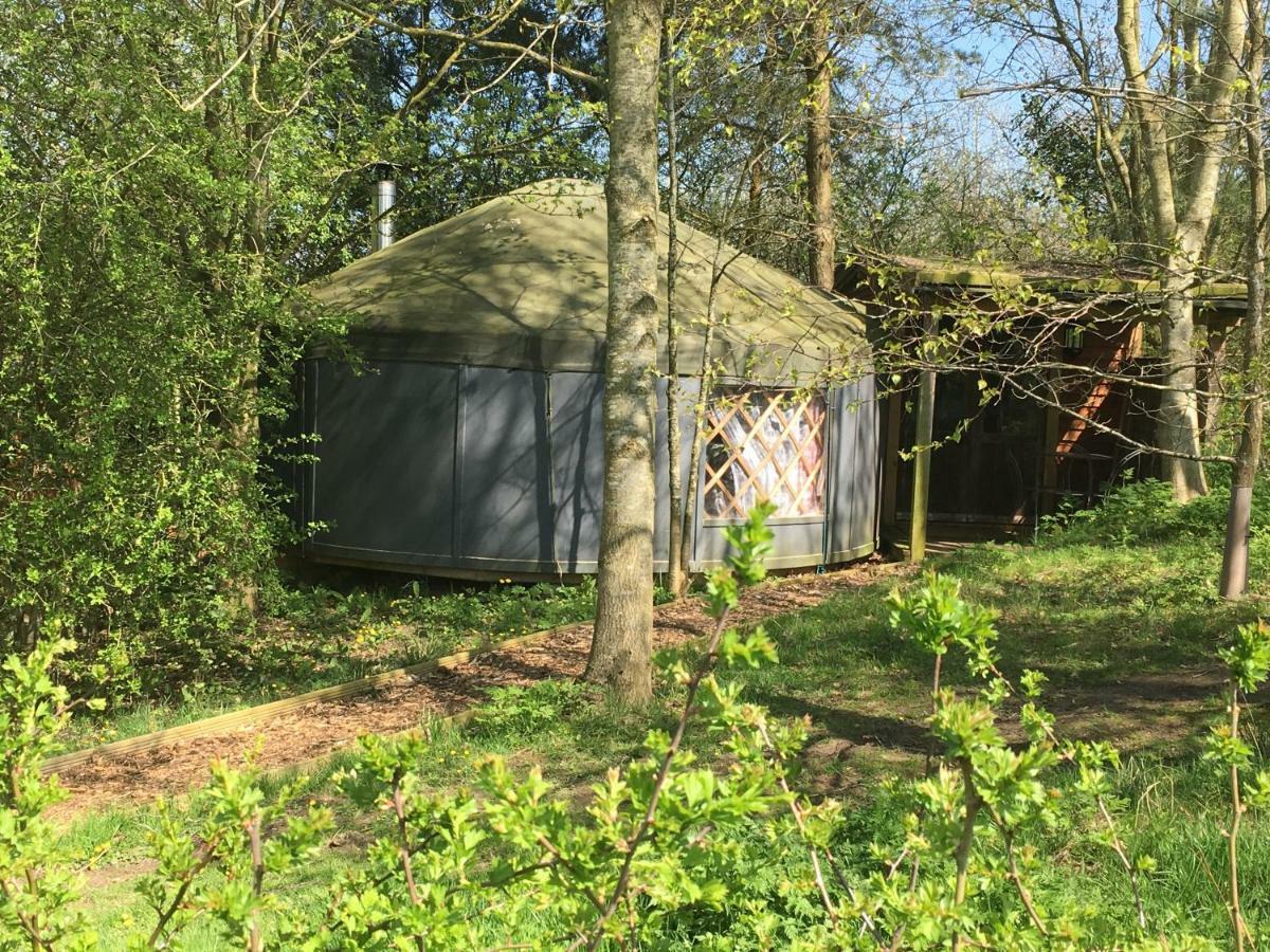 Shipston-on-Stour Cotswolds Camping At Holycombe מראה חיצוני תמונה