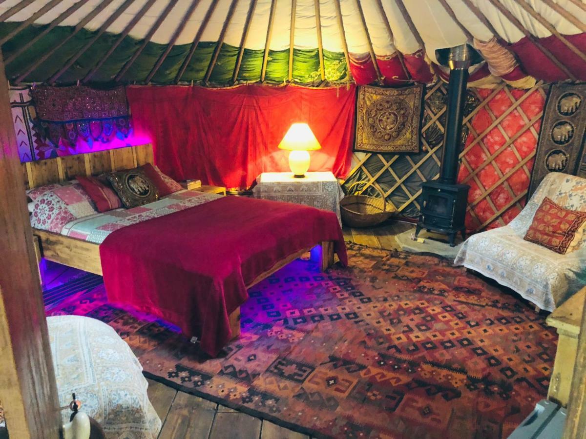 Shipston-on-Stour Cotswolds Camping At Holycombe מראה חיצוני תמונה